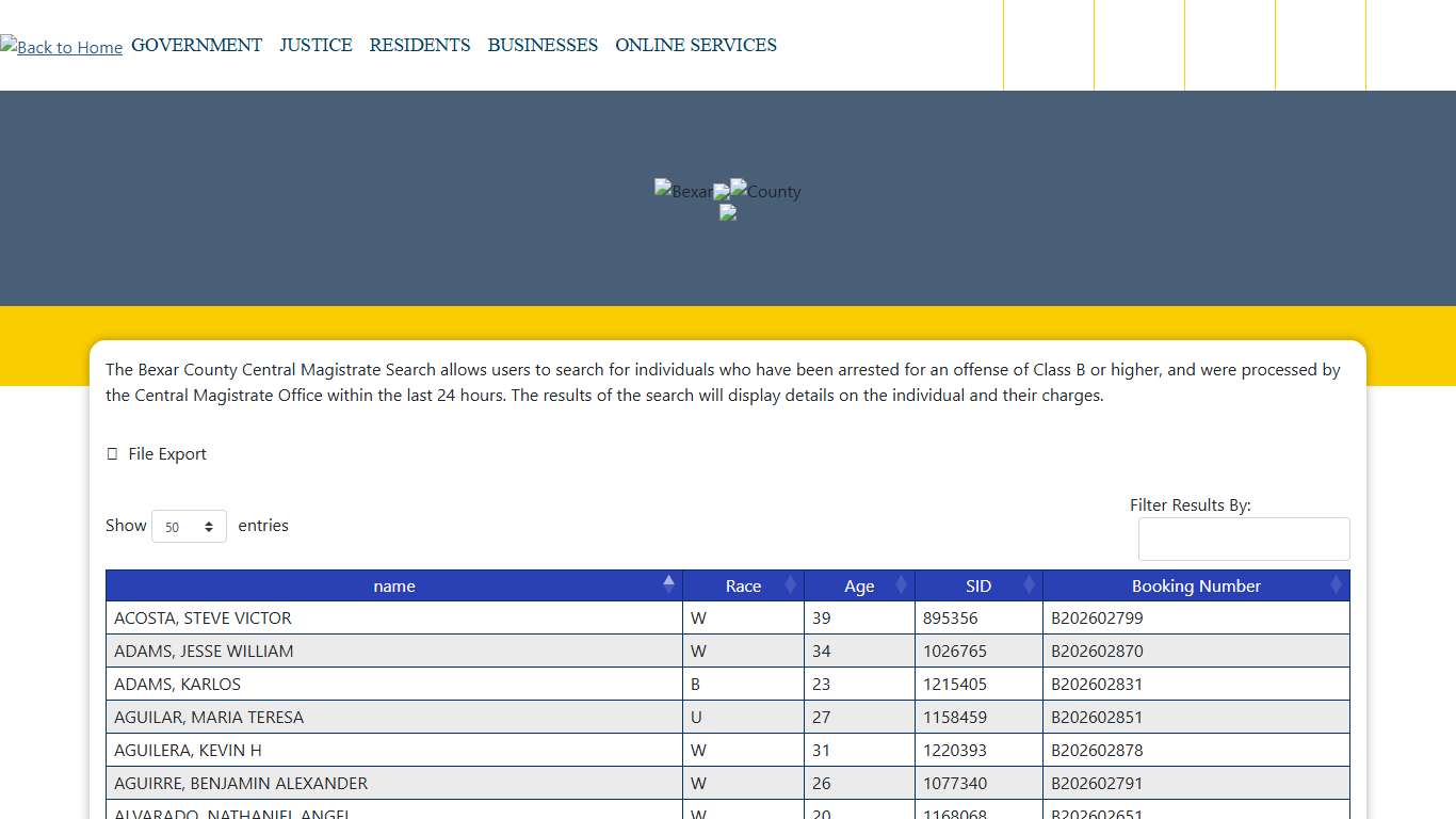 Bexar County Central Magistrate Search